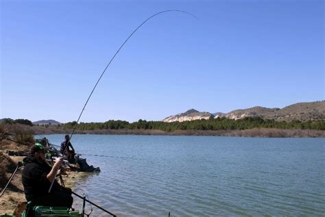 Pesca al feeder qué es y cómo se practica Punto Fish