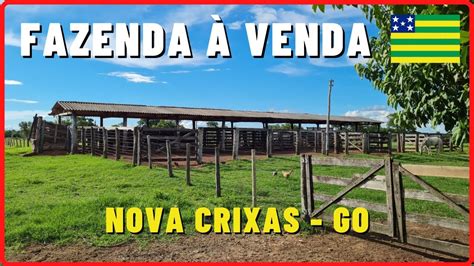 Fazenda à Venda em Goiás de 158 Alq em Nova Crixas GO DUPLA APTIDÃO