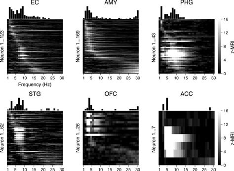 Figures And Data In MTL Neurons Phase Lock To Human Hippocampal Theta