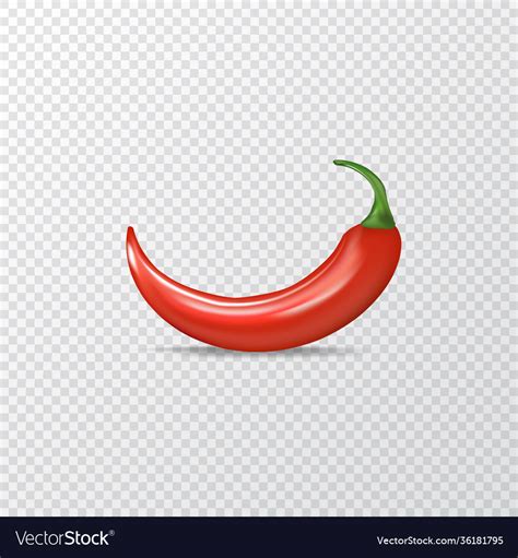 Red Hot Chili Pepper Realistic Royalty Free Vector Image