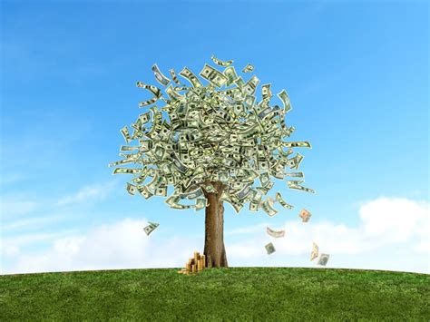 Money Tree With Full Of Currency Notes And Gold Coins Stock Photo