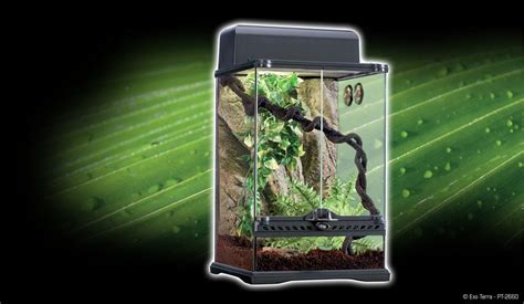 Exo Terra Rainforest Habitat Kit Small