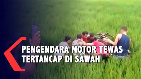 Diduga Hilang Kendali Pemotor Tewas Terjun Dan Tertancap Di Sawah