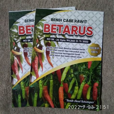 Jual MAS BIDIN Benih Cabe Rawit BETARUS Cabai Tahan Virus Betarus