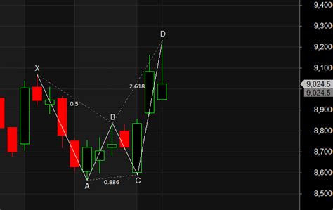 Maruti Bank Baroda Lic Housing Harmonic Pattern Analysis Bramesh S