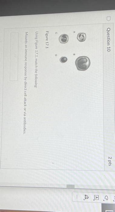 Solved Using Figure 17 1 Match The Following Mounts An