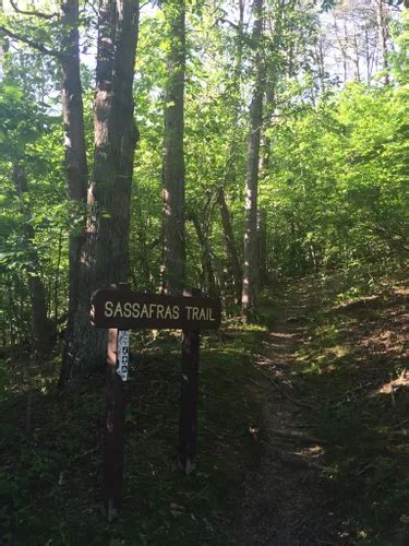 Best Hikes and Trails in Jenny Wiley State Resort Park | AllTrails