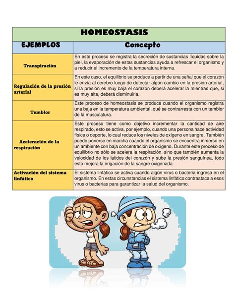 Ejemplos de homeostasis HOMEOSTASIS EJEMPLOS Concepto Transpiración