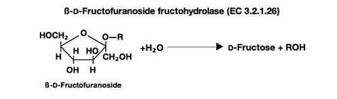 INVERTASE from Candida sp. - TOYOBO USA