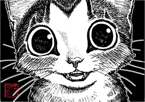 Catcuts ︎日々猫絵描く漫画編集者 On Twitter おはこんばんちは！