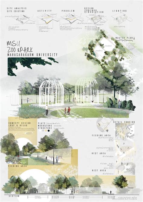 An Illustrated Map Shows The Various Types Of Trees And Plants In