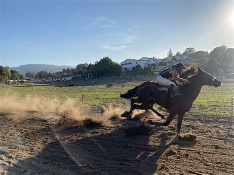 Corrida De Cavalos Junta De Freguesia De Vila Das Aves