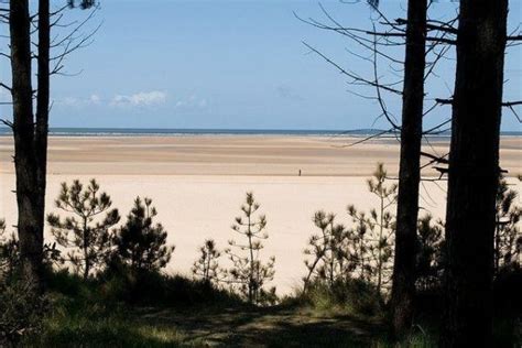 Dog walk at Holkham Beach, North Norfolk · Norfolk · Walkiees