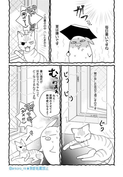 いつもの我が家のネコ達漫画です。どうぞよろしくお願いします～！ にょろ子 さんのマンガ ツイコミ仮