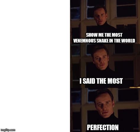 Perfection Meme Template