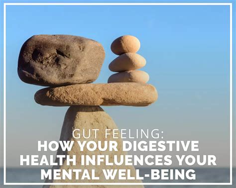 Gut Health And Mental Well Being Unravelling The Connection