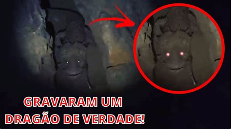 7 Dragões Reais Vistos E Filmados Por Câmeras Na Vida Real Youtube