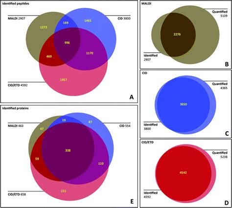 Gaining Efficiency By Parallel Quantification And Identification Of