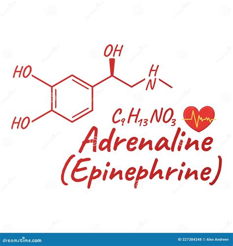 Epinefrina E Adrenalina