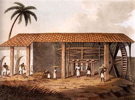 Flavors of Brazil: The History of Sugar in Brazil - Part 1