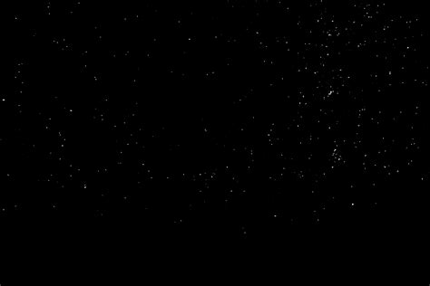 Cat Leeches There Is More Sperm In The Night Sky Than Stars In The