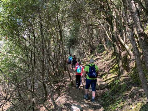 Da Sorrento Esperienza Di Trekking Sul Sentiero Degli Dei GetYourGuide