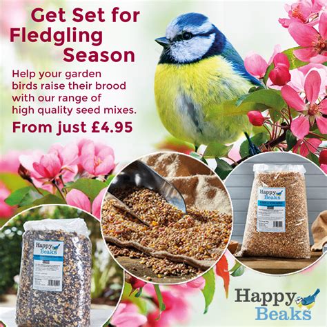 Happy Beaks Bird Food | Wild Bird Feed | Free Next Day Delivery*