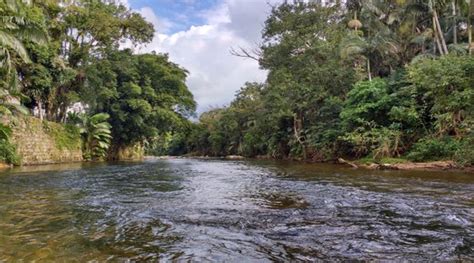 Água é considerada boa em apenas 6 5 dos rios da Mata Atlântica