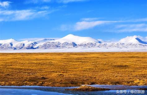 可可西里是荒蕪？是戈壁？還是雪山無人區？整整三年才申遺成功 每日頭條