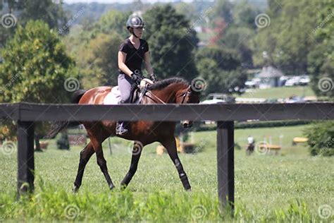 Bluegrass Festival Horse Show 2019 Xxv Editorial Photography Image Of