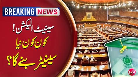 Kon Kon Senator Banay Ga Senate Elections 2024 Breaking News Aik