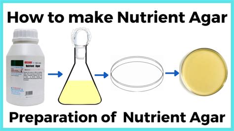 Nutrient Agar Media Composition And Uses Rbr Life Science