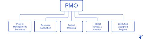 What Is Project Management Office A Guide To Pmo Toptal