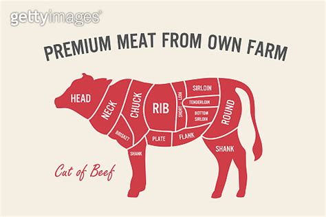 Cut Of Beef Set Poster Butcher Diagram And Scheme Cow Vintage Typographic Hand Drawn Vector