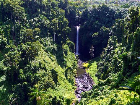 Worldrecordtour Oceania Pacific South Sea Polynesia Samoa Upolu Savai I Apia Picture