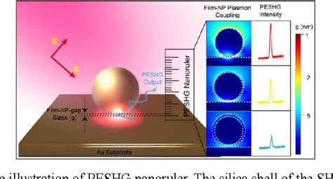 Figure 1 From Plasmon Enhanced Second Harmonic Generation Nanorulers