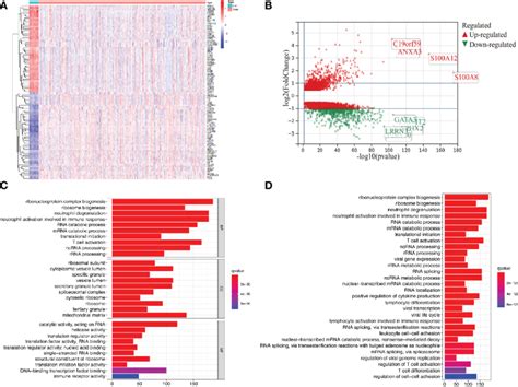 Differential Gene Expression And Functional Enrichment Analysis In The