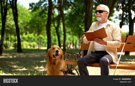 Blind Man Feels Happy Image And Photo Free Trial Bigstock