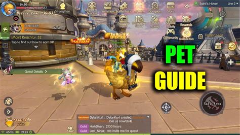 Dragon Nest Evolution Pet Guide Youtube