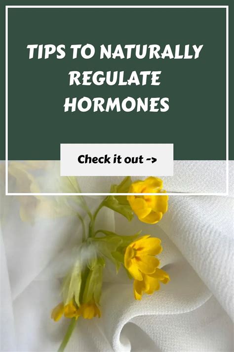 5 Supplements To Balance Female Hormones Naturally Artofit