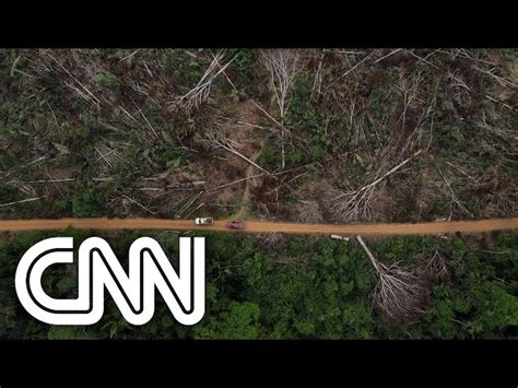 Em 35 anos Amazônia perdeu vegetação equivalente ao território do