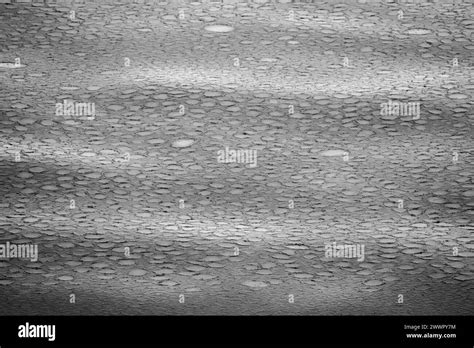 Large Area Of Floating Ice Black And White Stock Photos And Images Alamy