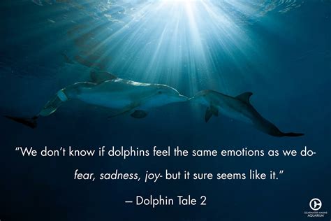 Dolphin Quotes - ShortQuotes.cc