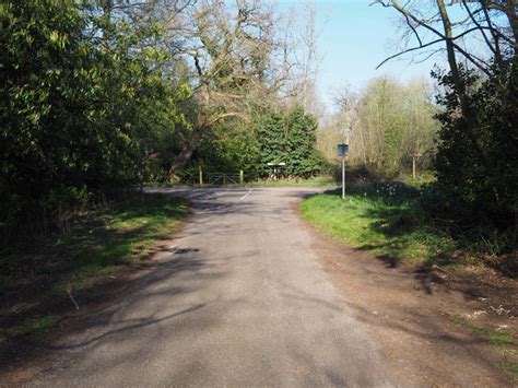 Earthholes Plantation Breckland Area Information Map Walks And More