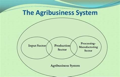 Basic 3 Sectors In Agribusiness System Basic Agricultural Study