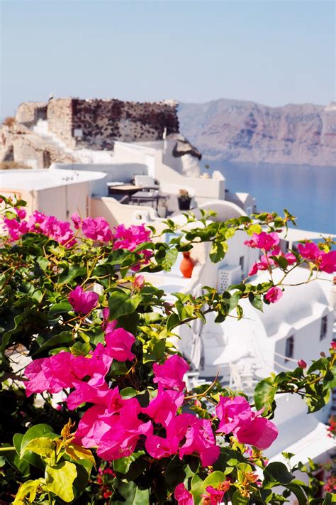 17+ Incredible Things to do in Oia, Santorini (Plus Lots of Tips and ...