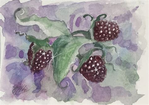 Aceo Blackberry Watercolor Painting Blackberries Berries Art Card