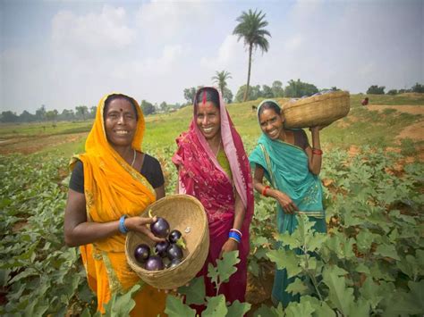 Agri Tourism In India Beautiful Farmstays To Get Back To Your Roots