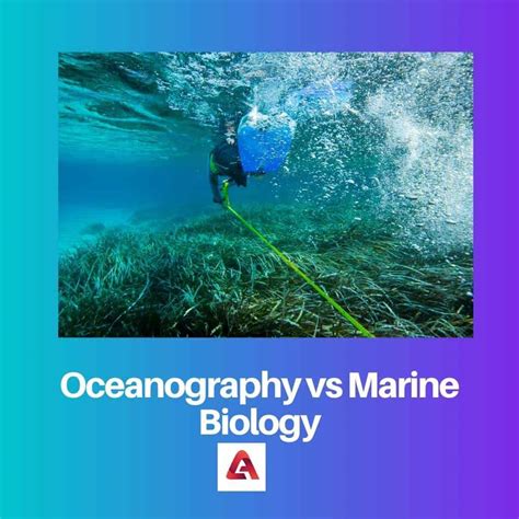 Oceanografía Vs Biología Marina Diferencia Y Comparación