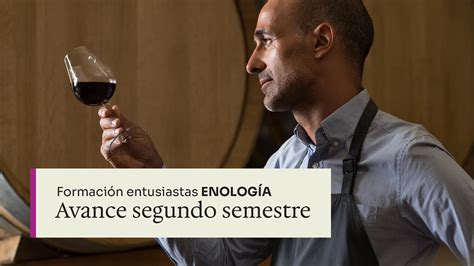 Vinos para Dummies Trucos para impresionar a tu cuñado Fundación